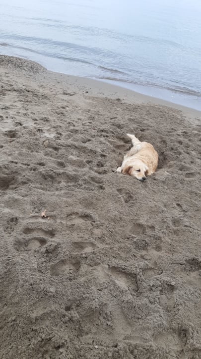 Strand Dogan Paradise Beach