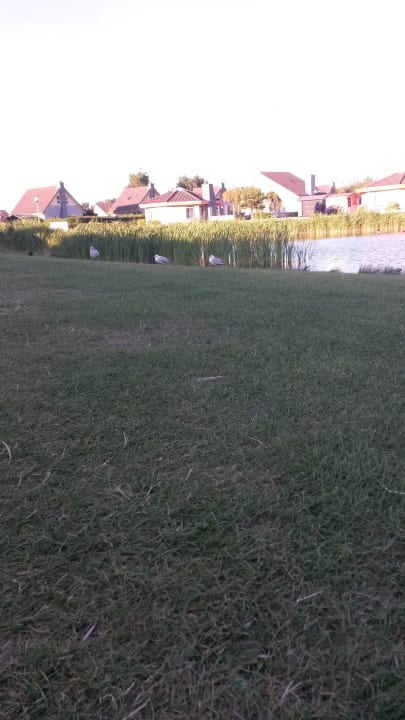 See im Park Strandslag Juliana