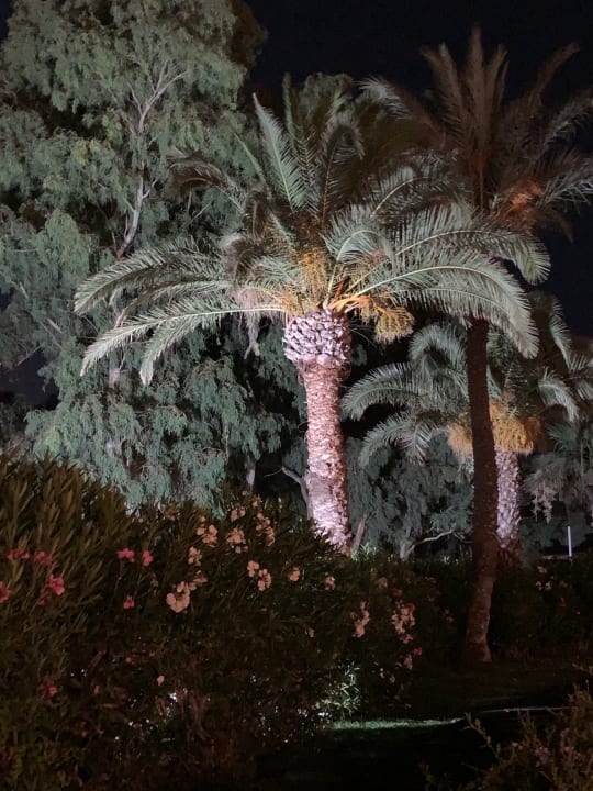 Sonstiges Monachus Family Resort Sorgun