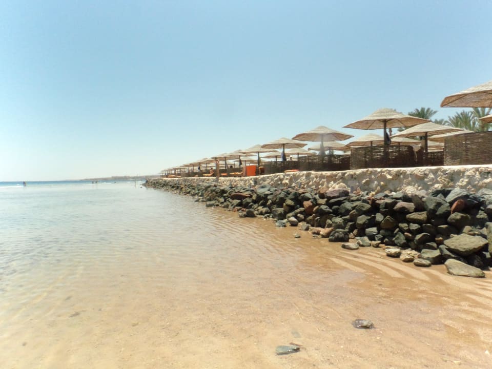 Immer eine Liege frei Grand Makadi