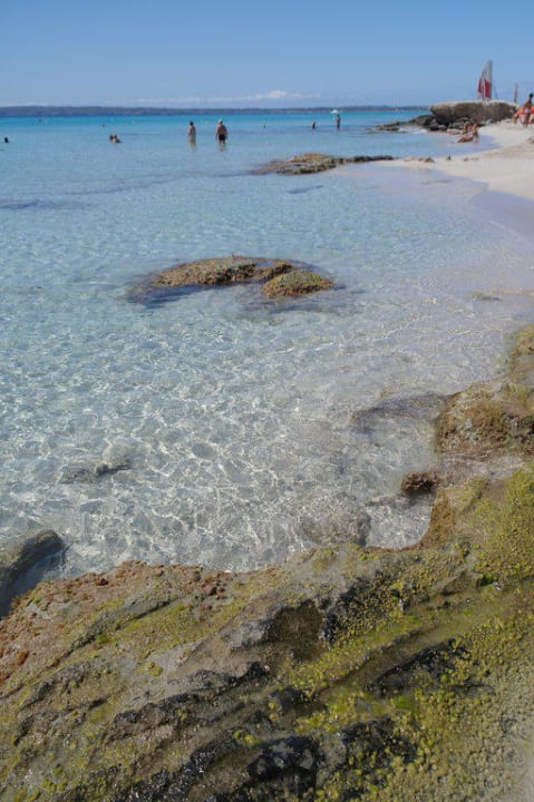 Strand am Hotel Hotel Riu Palace La Mola