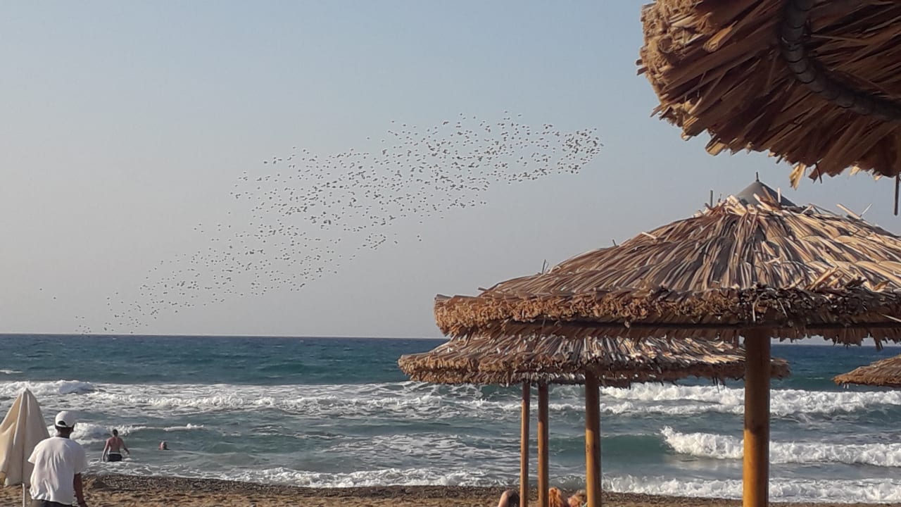 Strand HARPIN Happy Days Beach Hotel