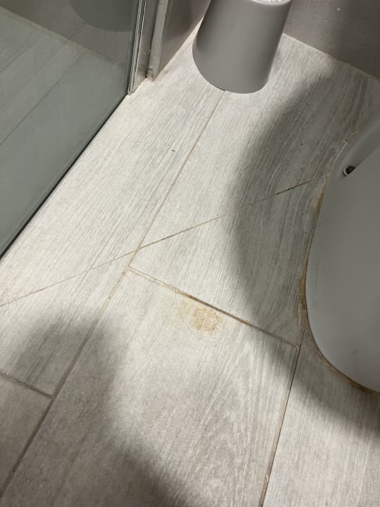 Zimmer Alcudia Garden Aparthotel