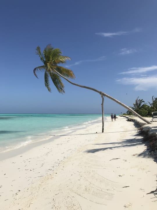 Strand Meeru Maldives Resort Island