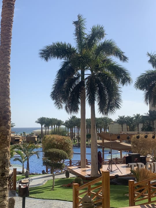 Ausblick Tropitel Sahl Hasheesh