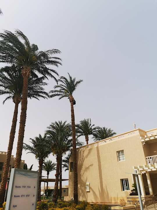 Außenansicht Beach Albatros Resort