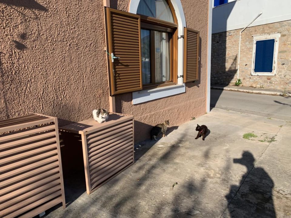 Außenansicht Pension Hirolakas