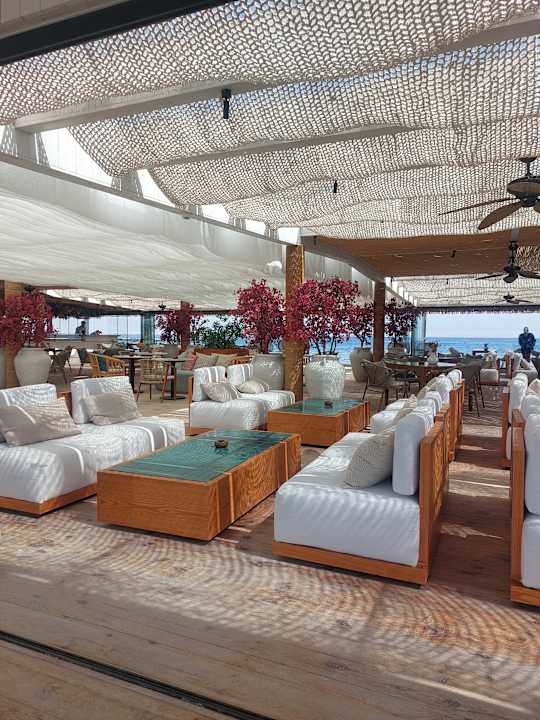 Außenansicht Desert Rose