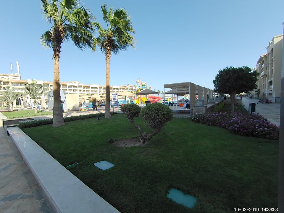 Garten Pickalbatros White Beach Resort - Hurghada