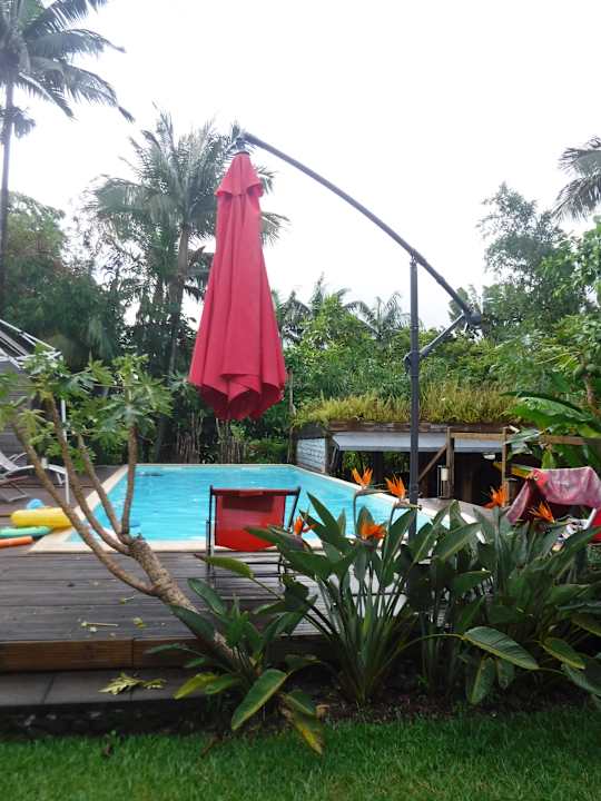 Pool Poivre et Citronnelle