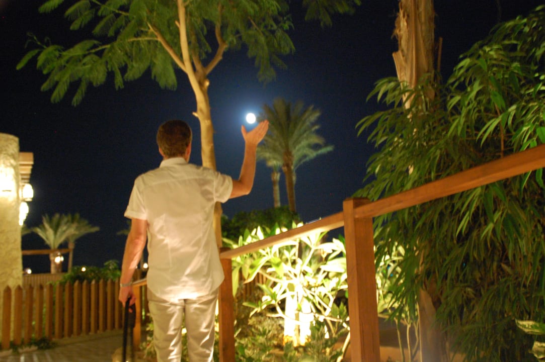 Ein Traum von Urlaub! Makadi Spa - Adults only