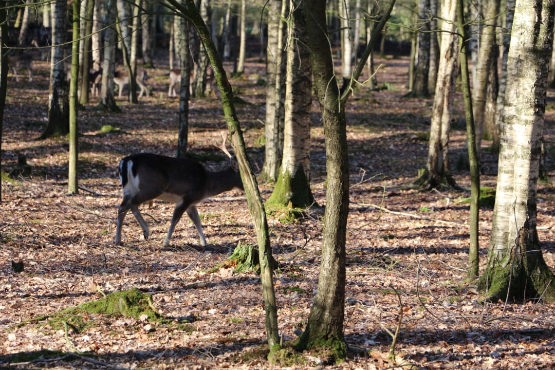 Sonstiges Vila Vita Burghotel Dinklage