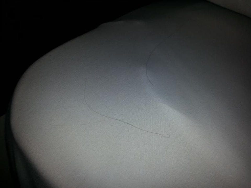  Bei Anfunft..Haare vom Vorgänger Serenity Alpha Beach