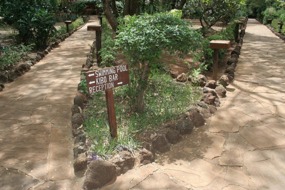 Ogród Hotel Amboseli Sopa Lodge