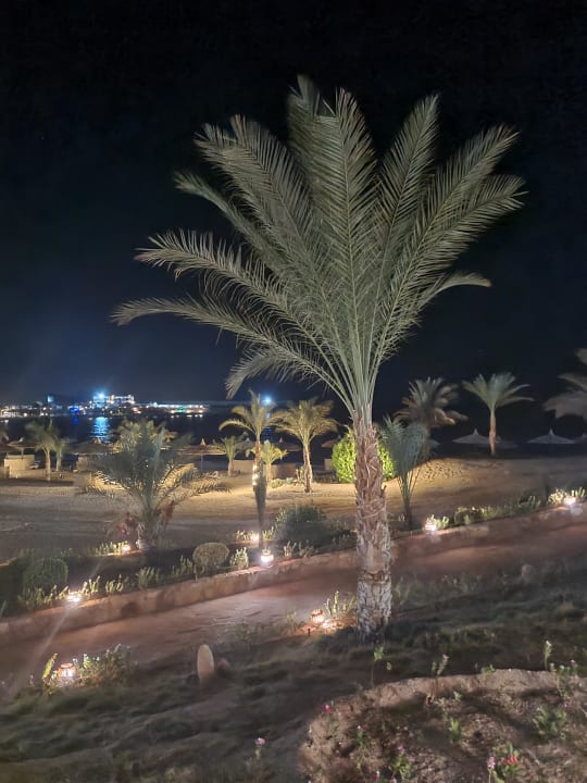 Gartenanlage Coral Sun Beach
