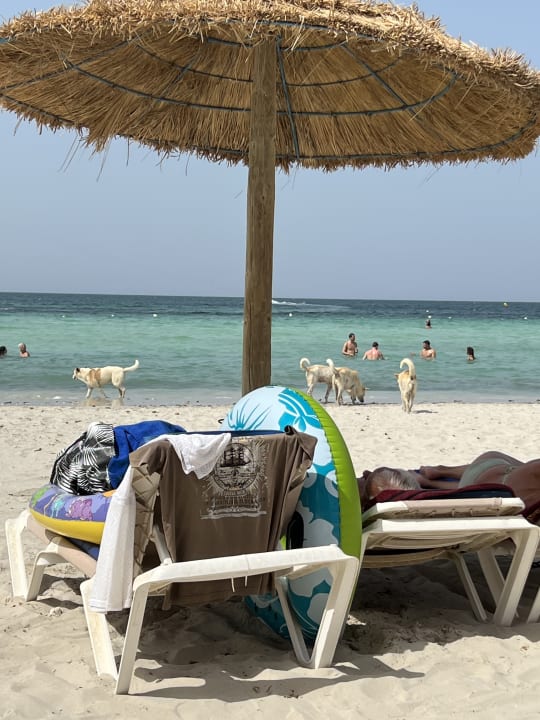 Strand Iberostar Waves Mehari Djerba