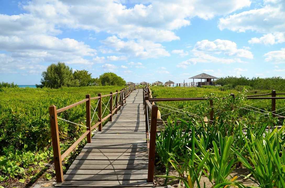 Weg zum Strand Melia Buenavista