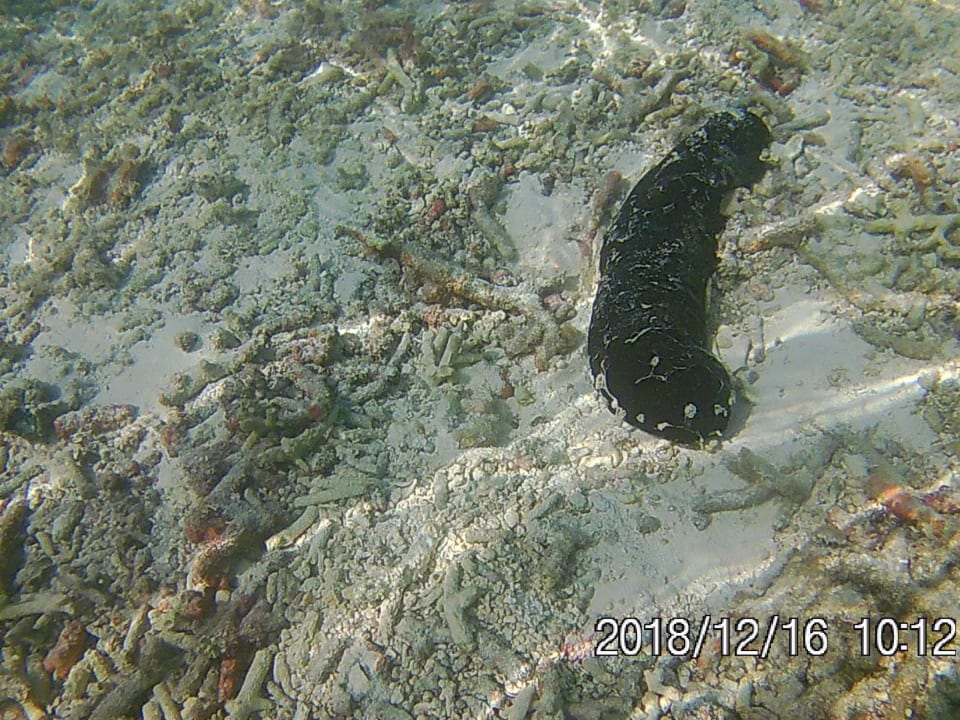 Sport & Freizeit Adaaran Select Hudhuran Fushi - Premium All Inclusive