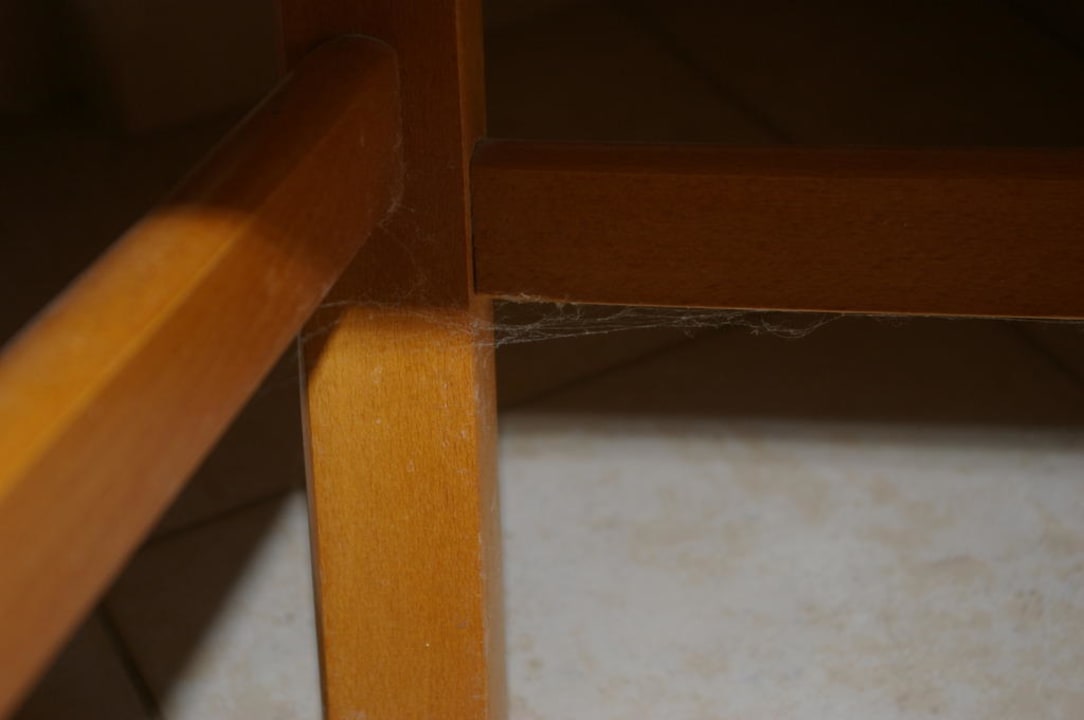 Toile d'araignée Olympia Sunclub Hotel