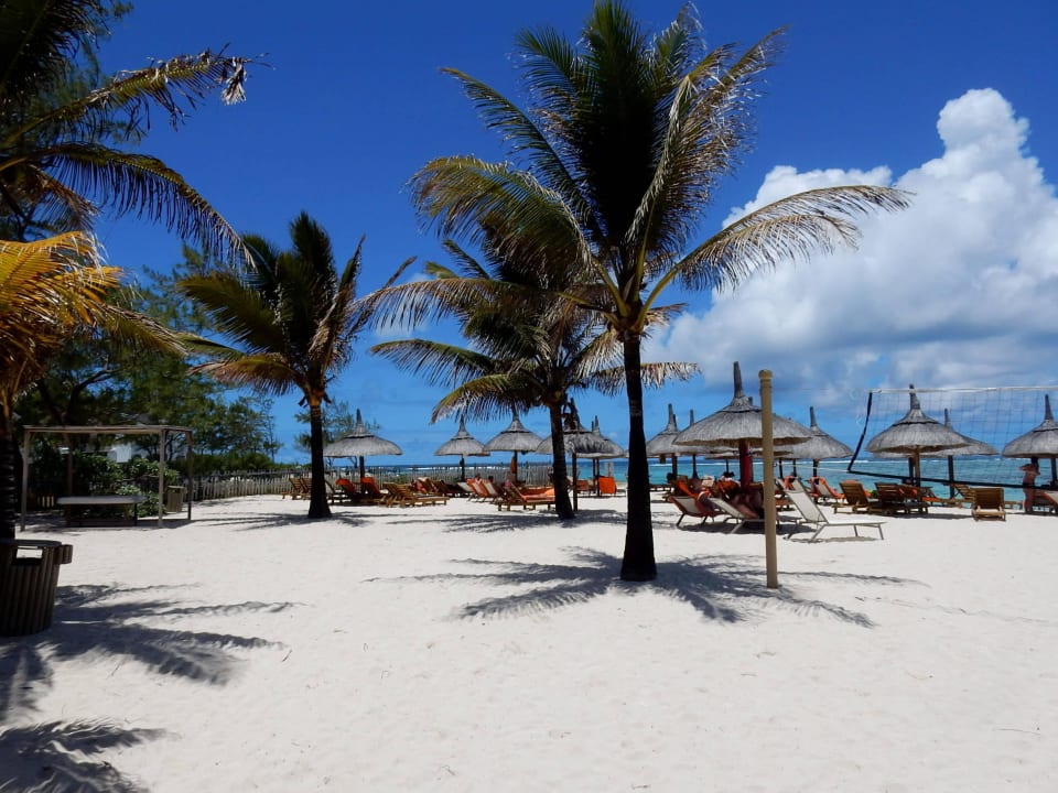 .... mit ausreichend Liegen und Sonnenschirmen Friday Attitude