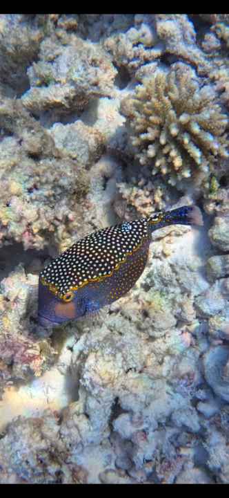 Sport & Freizeit Angaga Island Resort