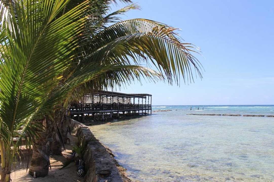 Mittagstisch am Strand TUI BLUE El Dorado Seaside Suites