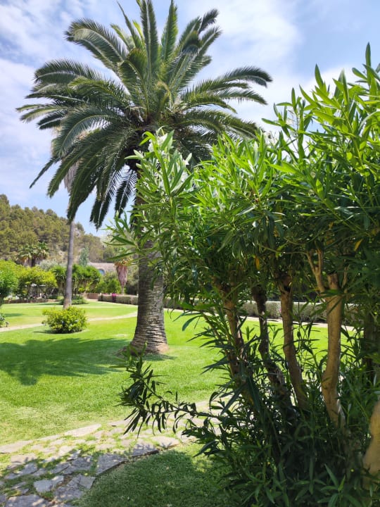 Gartenanlage Hotel Es Port