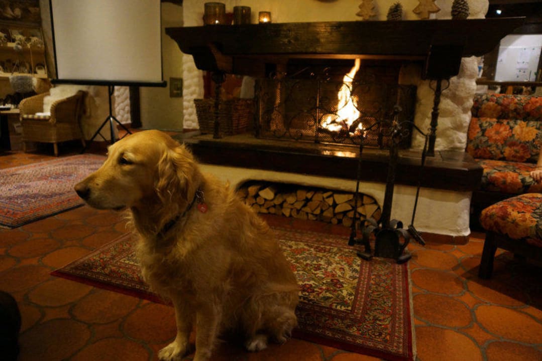 Vitalhotel Edelweiss Dog Vitalhotel Edelweiss