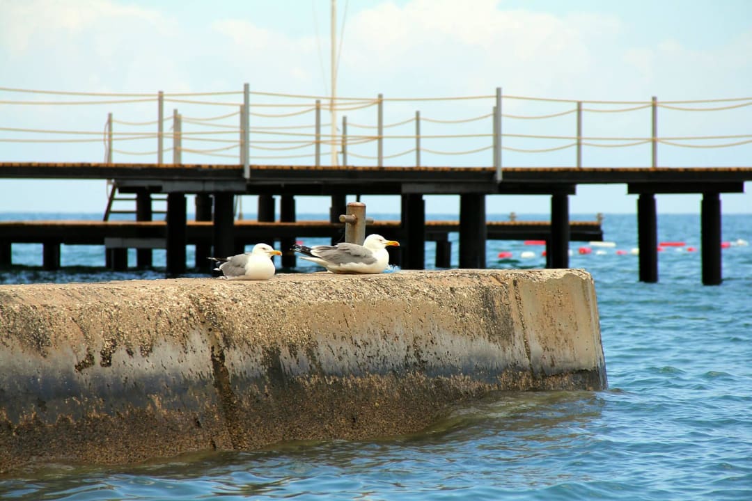 Peer Ma Biche Kemer by Werde Hotels