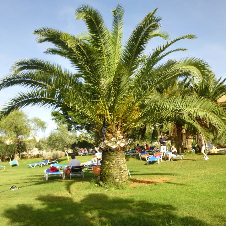 Ein Teil der schönen Liegewiese Hotel Mariant Park