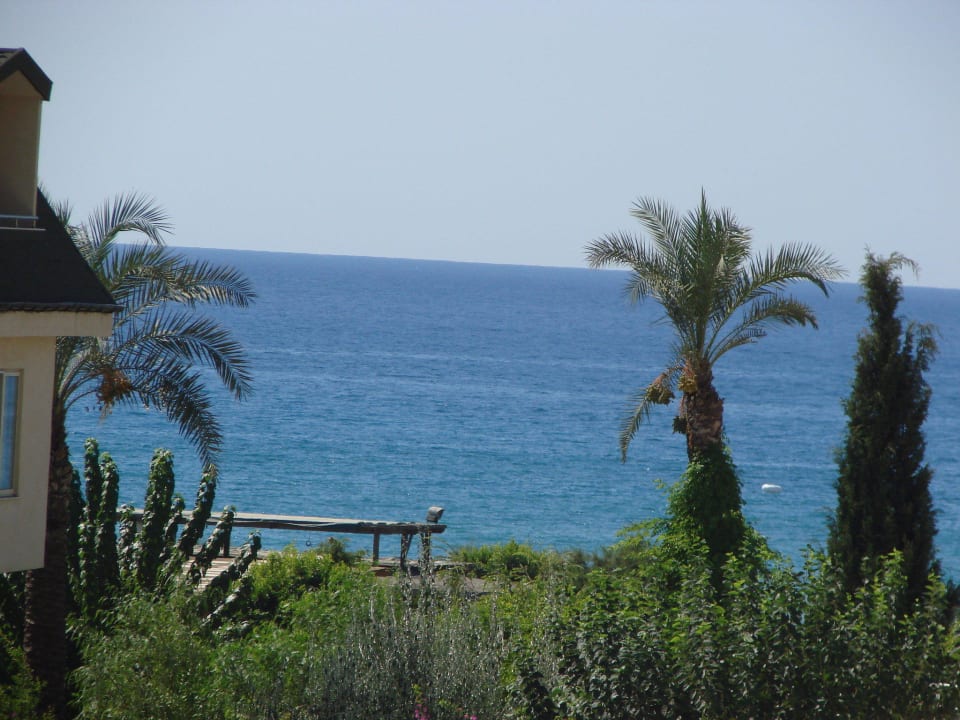 Вид на море из номера Telatiye Resort