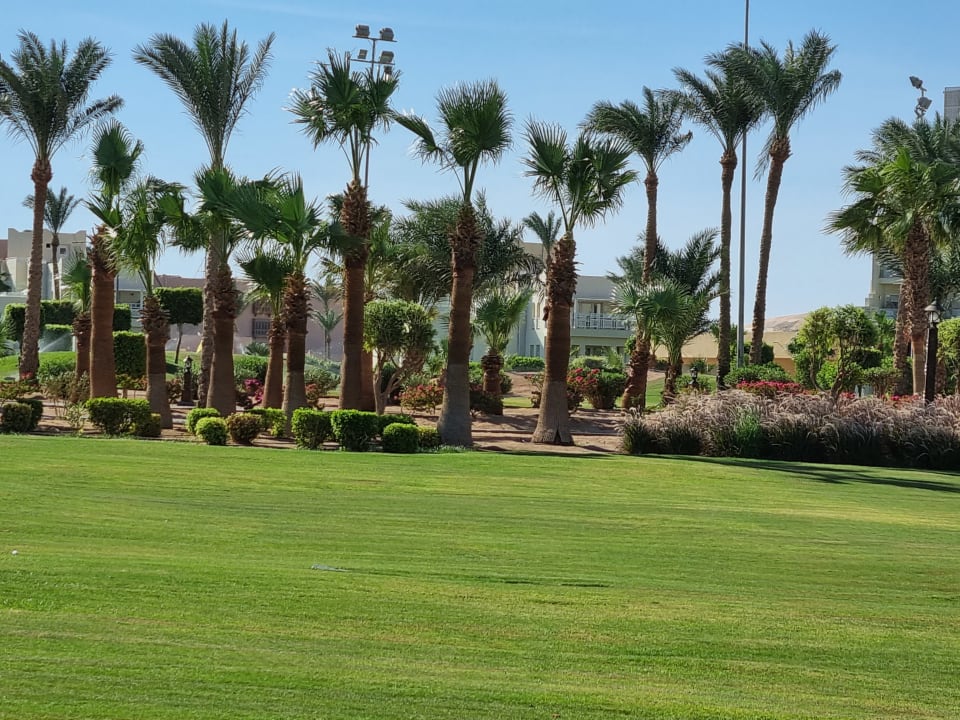 Gartenanlage Steigenberger ALDAU Beach Hotel