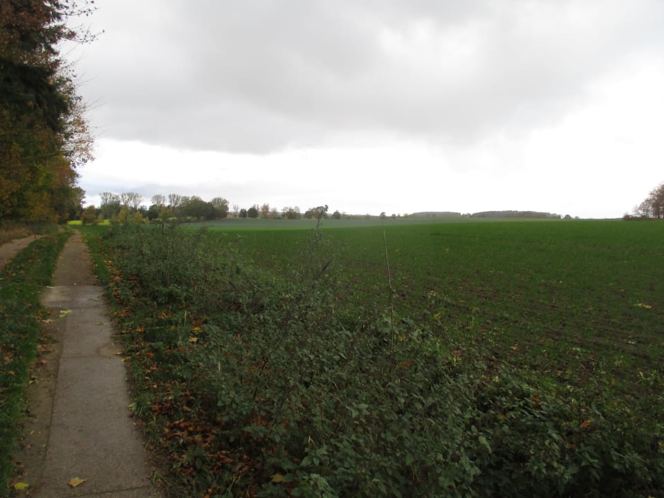 Ausblick Hotel Schloss Frauenmark