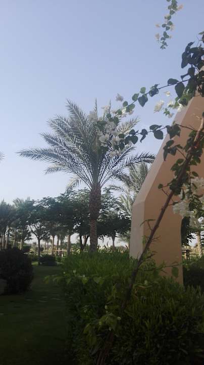 Gartenanlage JAZ Neo Saraya Palms