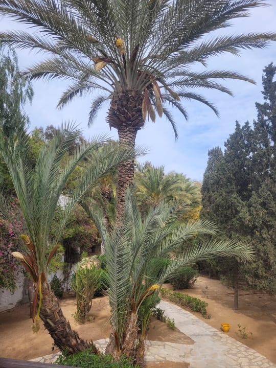 Ausblick Marhaba Royal Salem