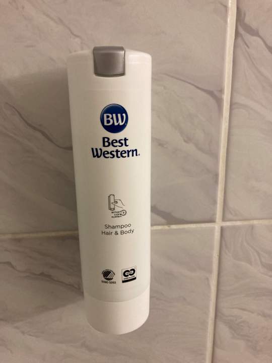 Zimmer Best Western Parkhotel Brehna - Halle