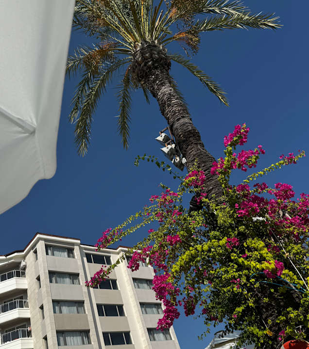 Gartenanlage Hotel Terrace Beach Resort