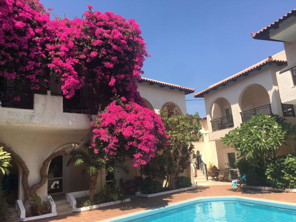 Außenansicht Hotel Little Inn