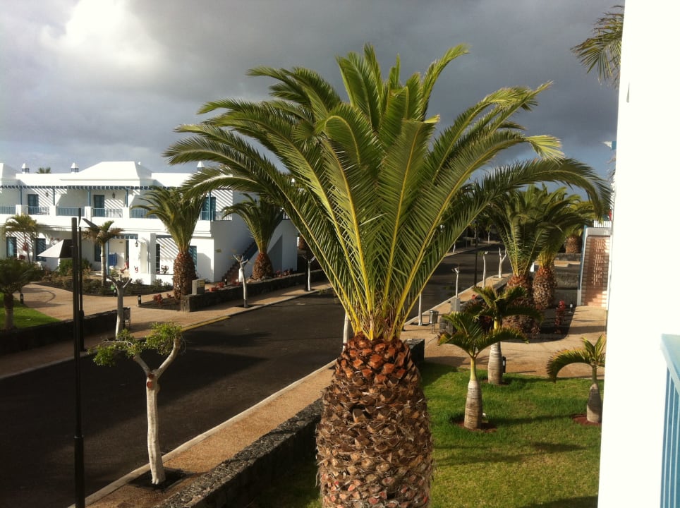 Außenansicht Hotel THB Tropical Island