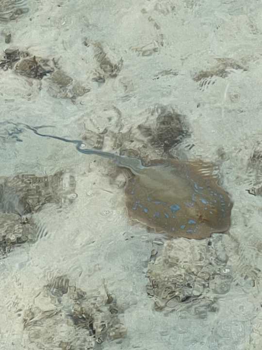 Sonstiges Casa Mare Resort