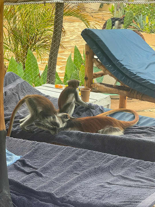 Außenansicht Reef & Beach Resort