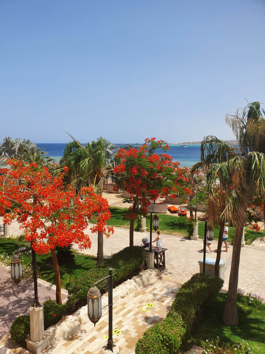 Gartenanlage Makadi Spa - Adults only