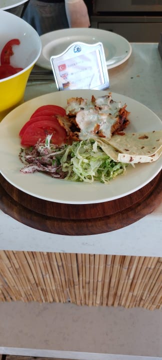 Gastro Seashell Vega