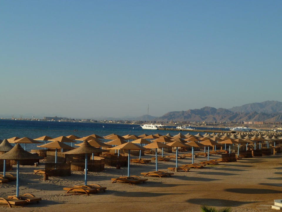 Genug Liegen am Strand Shams Prestige Abu Soma-Adults Only