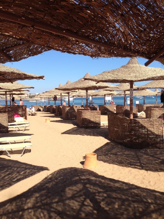 Stets gepflegt und freundliche Bedienung am Strand Jaz Makadi Oasis Resort