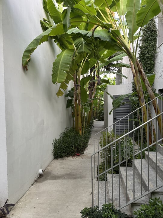 Gartenanlage Paloma Finesse