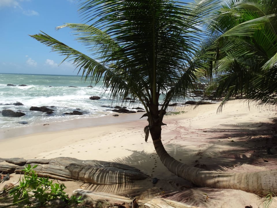 (private) Secluded Beach Around Sri Lanka Guesthouse