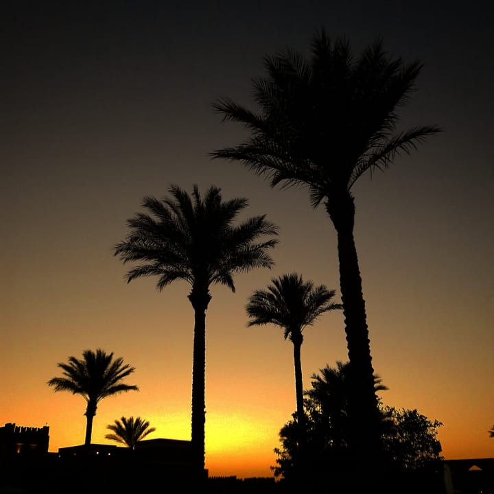 Gartenanlage Grand Waterworld Makadi & Family Star Makadi