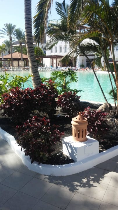 Pool Garten Club Jandia Princess