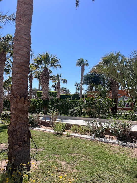 Gartenanlage The Grand Hotel Hurghada